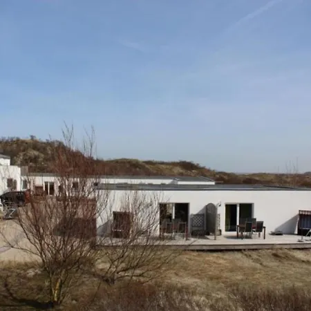 Austernfischer Borkum